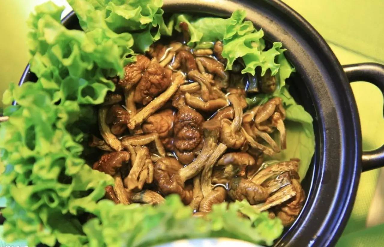 震惊！六月下旬上海公司员工工作效率大爆发是为何？｜本周最IN