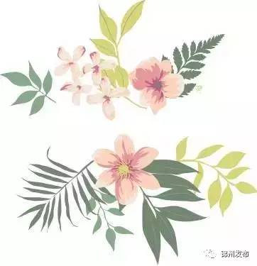 2017锦州健康大讲堂开讲啦！市民可免费参加课程表收藏喽~