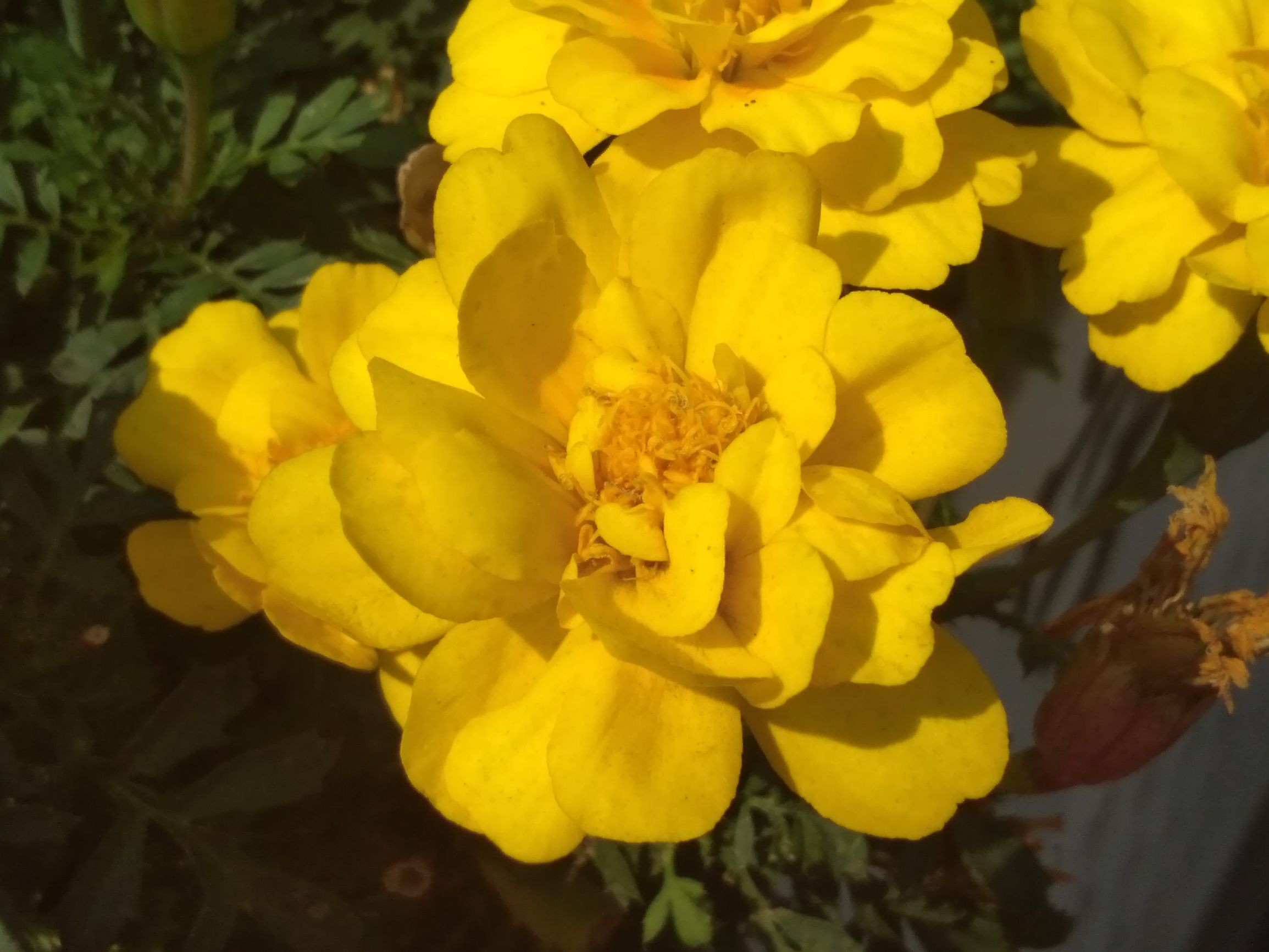 中低端手机流畅,中低端稳60帧的手机