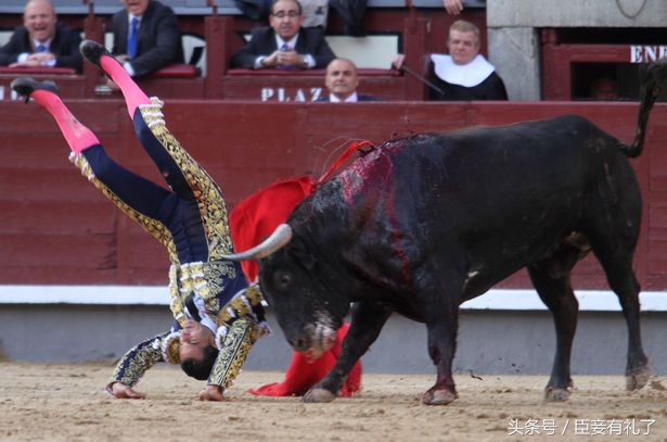 西班牙斗牛公牛表现出色免死,西班牙斗牛士单挑六只牛