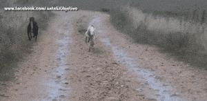 姑娘射个箭这么有风度