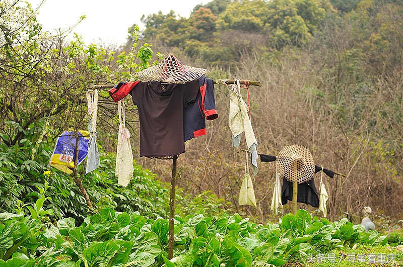 綦江渝黔盐茶古道,探秘鬼传说