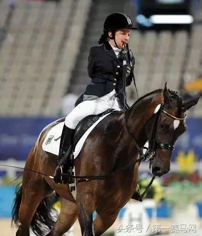 骑马的治愈作用是什么,马中风可以治疗吗
