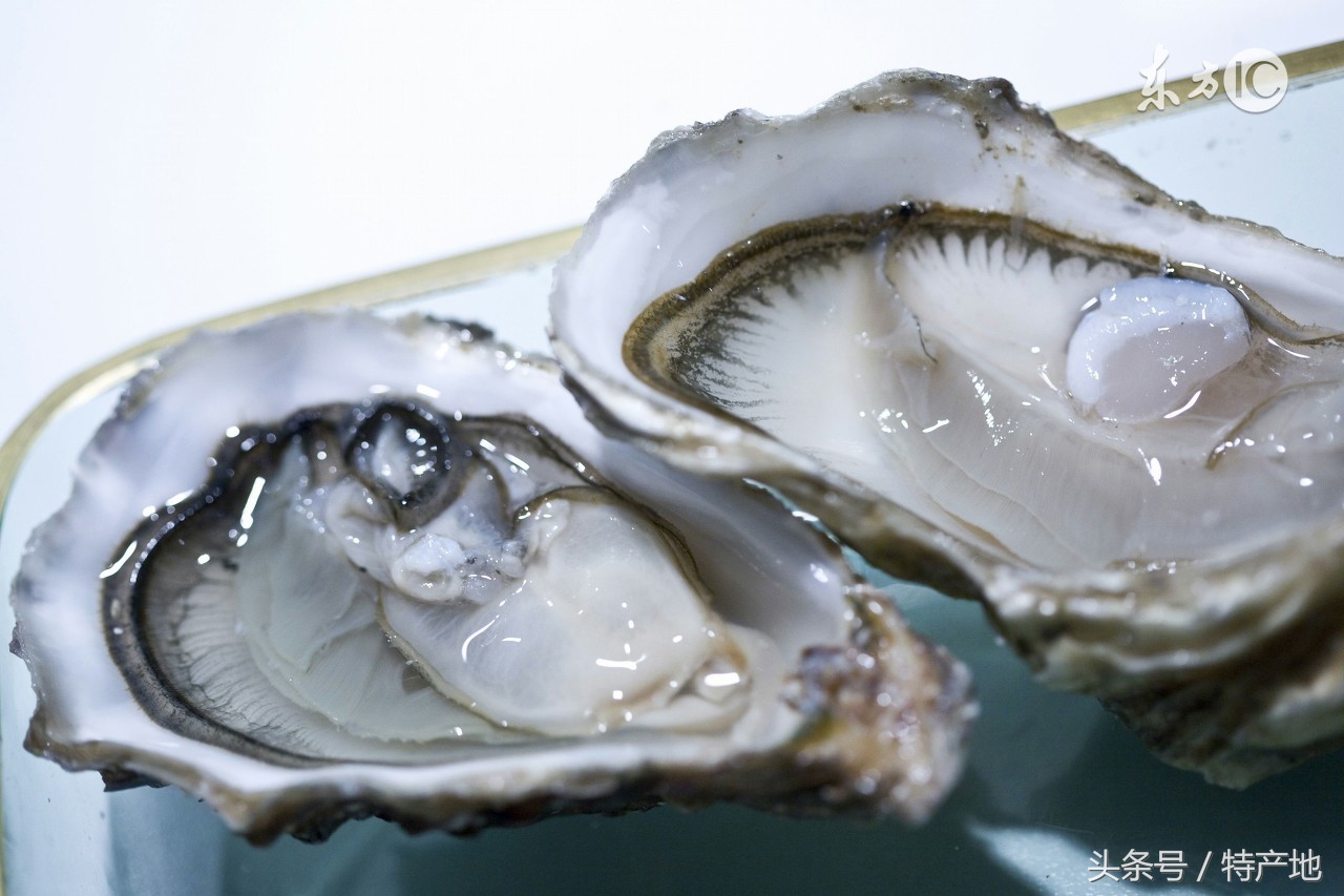 广东特色美食生蚝,蚝门特色生蚝