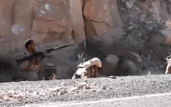 搞笑gif为了胜利我将不择手段,搞笑gif别惹我我疯起来自己都害怕