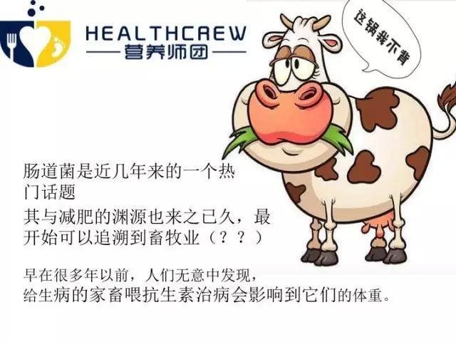 吃屎减肥?为了减肥也是蛮拼的