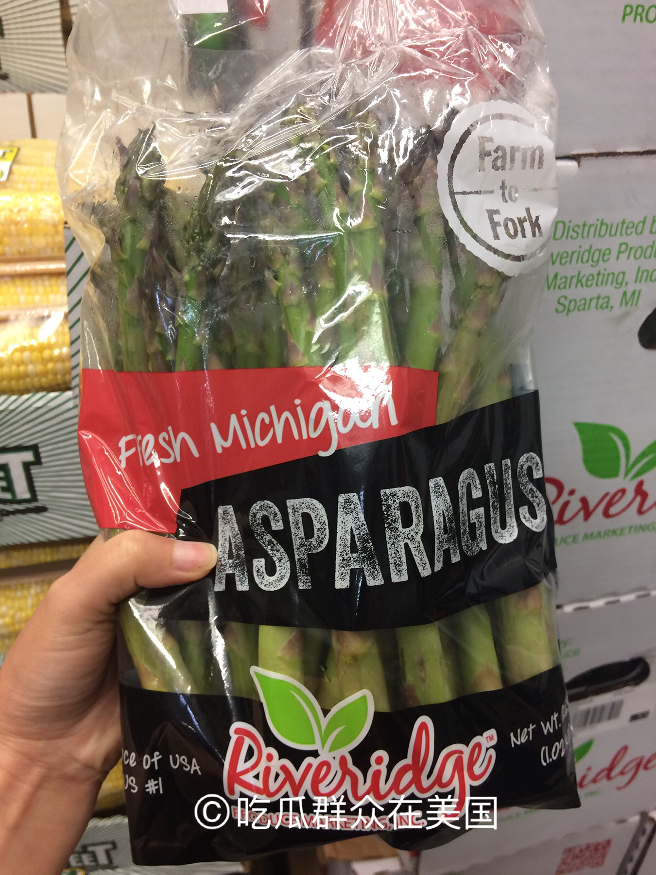 美国华人超市蔬菜价目表,美国超市的蔬菜价格到底有多贵