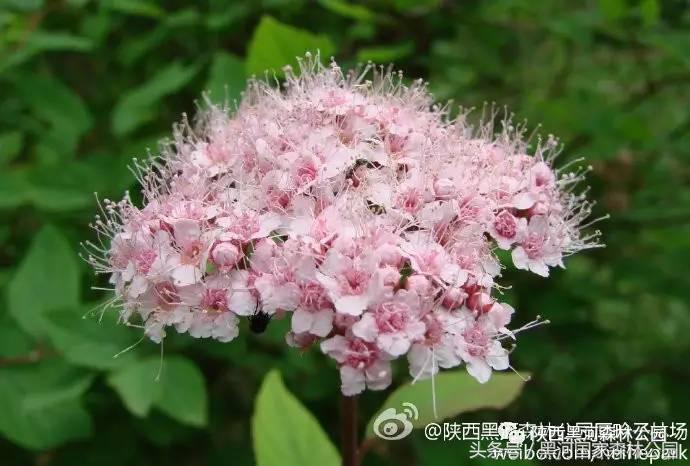 黑河风光,黑河自然风景