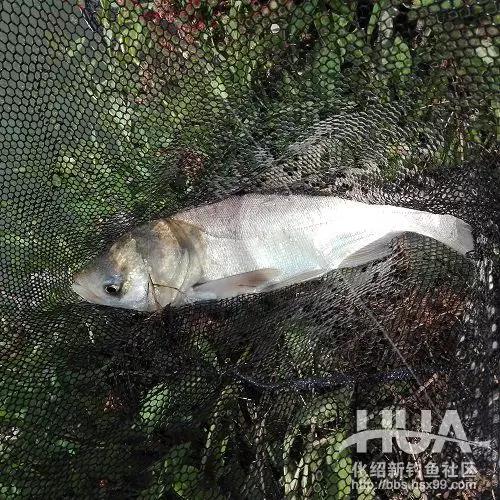 竿长跟漂的关系,竿长与漂重