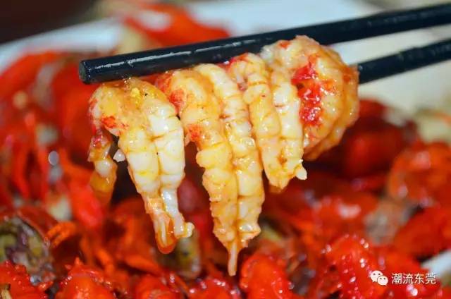 东莞城区小龙虾推荐,东莞小龙虾店推荐