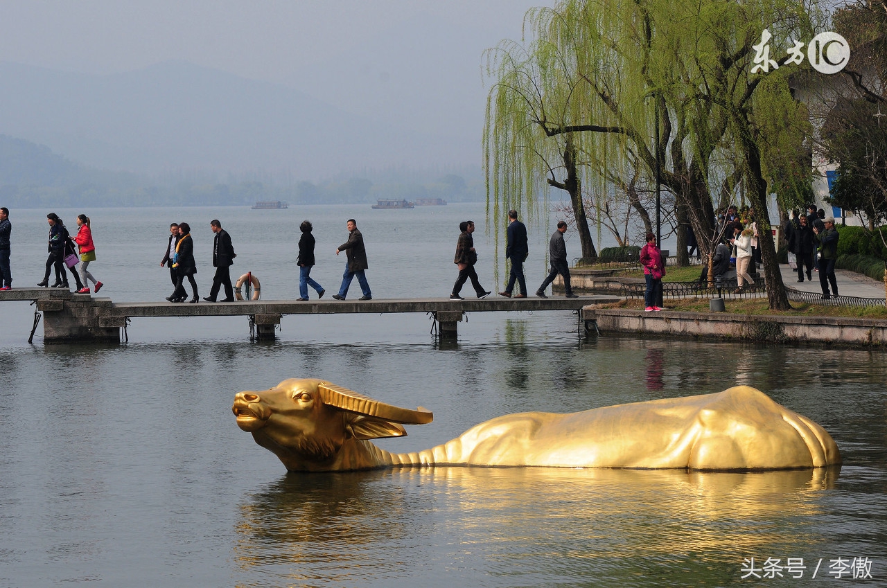 出水芙蓉选股指标公式,选股黑马绝招大全