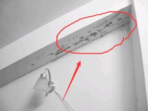 墙壁发霉了怎么处理,墙壁发霉了用什么方法处理好