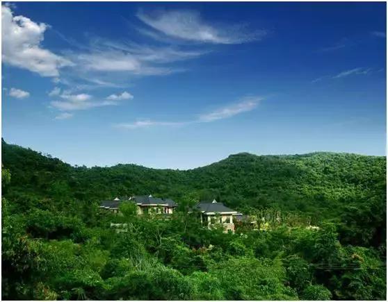 海南关键词搜索排名前十,海南关键词是什么