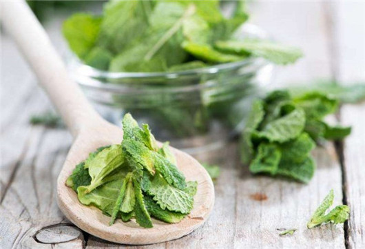 薄荷叶有驱蚊虫功效么,干薄荷叶可以驱蚊虫吗