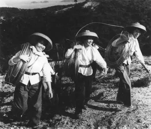 珠海建市后的建设热潮中，这样的石景山公园你一定没见过！