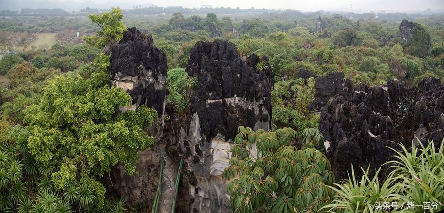 广西崇左旅游景区有哪些,崇左这几天免费旅游景区