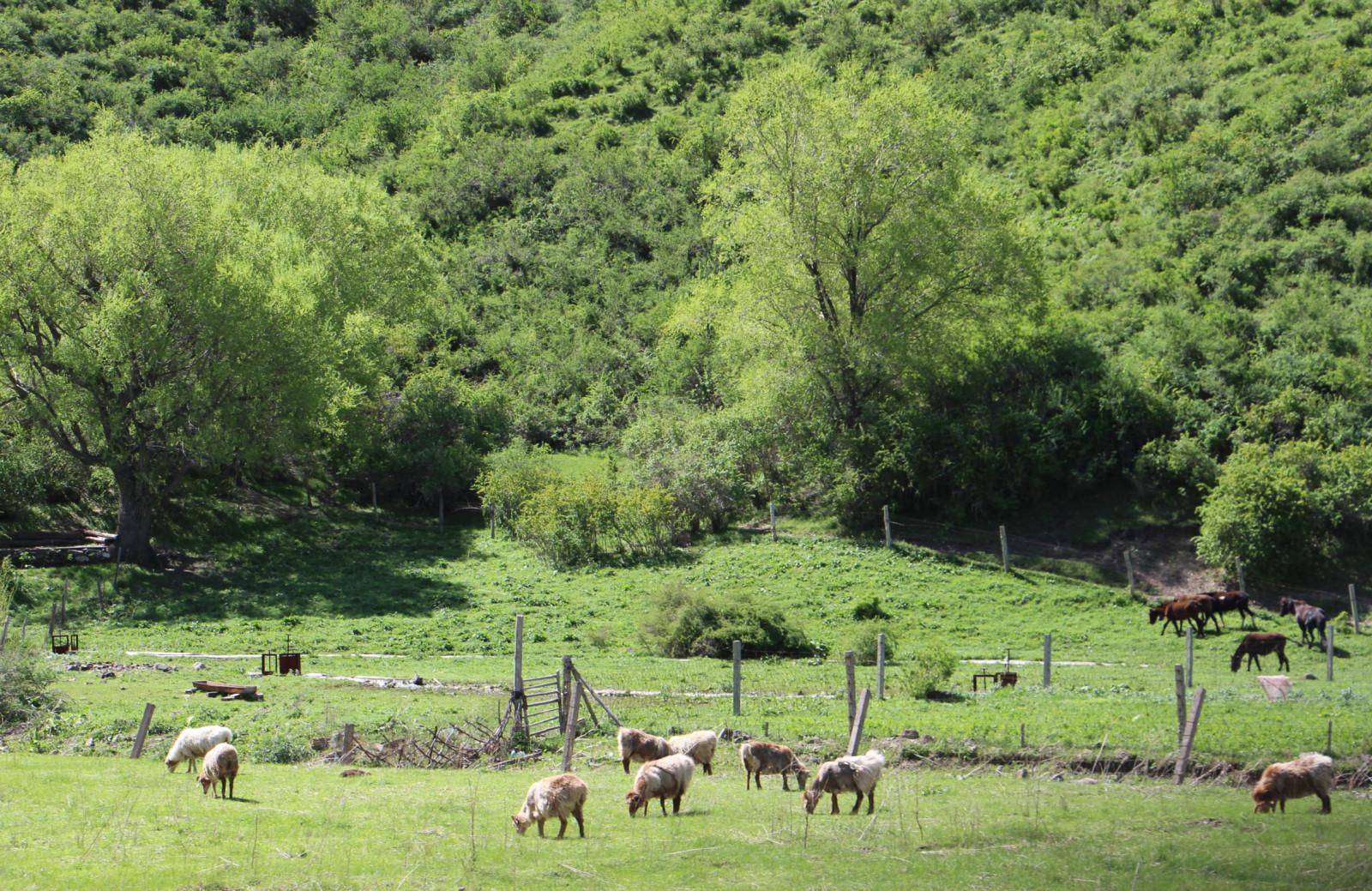 乌鲁木齐石人沟民俗,乌鲁木齐风情