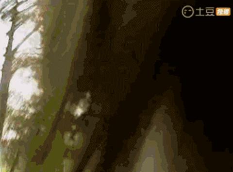 武林外史白飞飞排行榜,武林外史白飞飞很坏吗