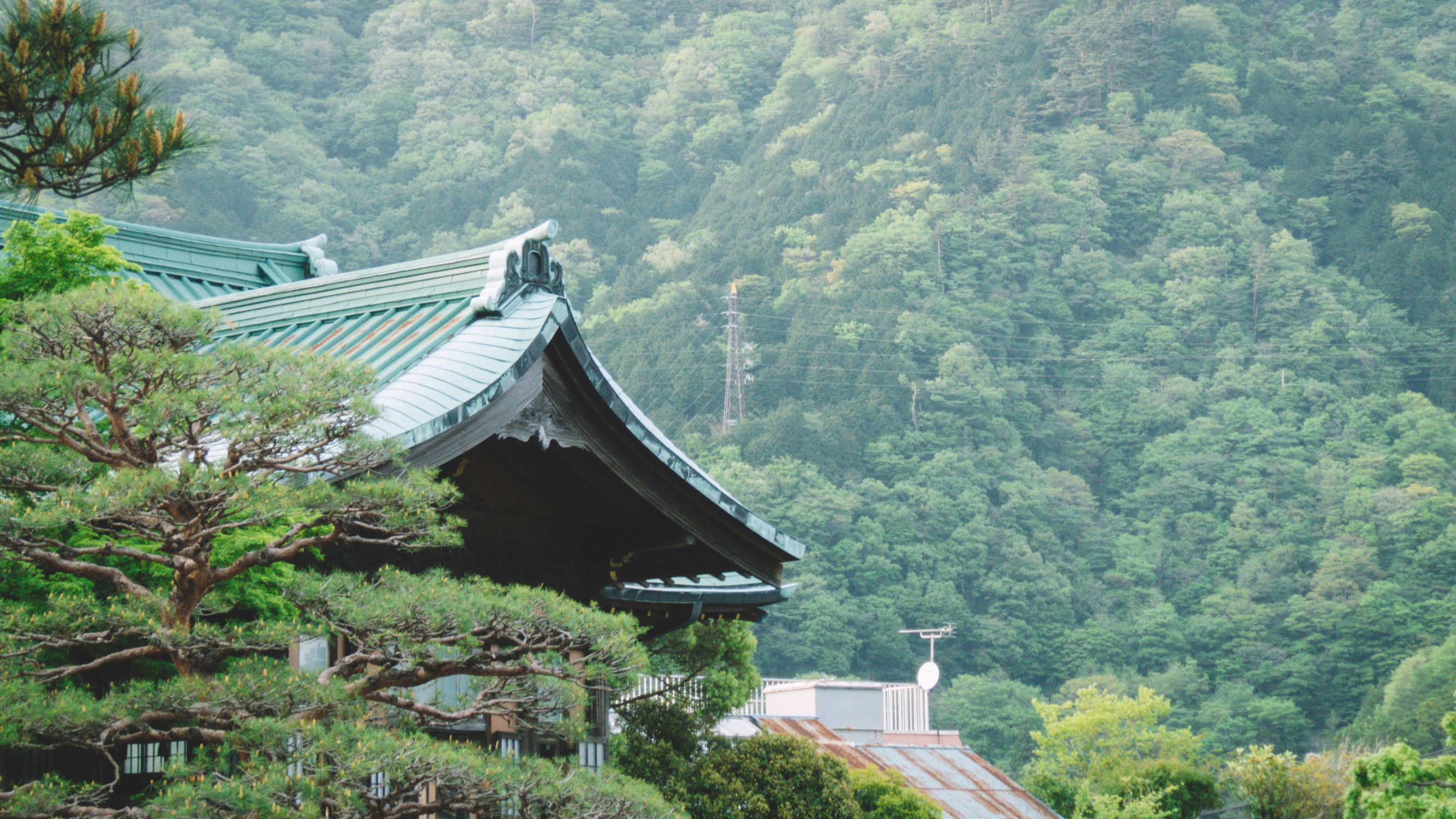 东京镰仓横滨旅游攻略,东京镰仓箱根伊豆富士山路线