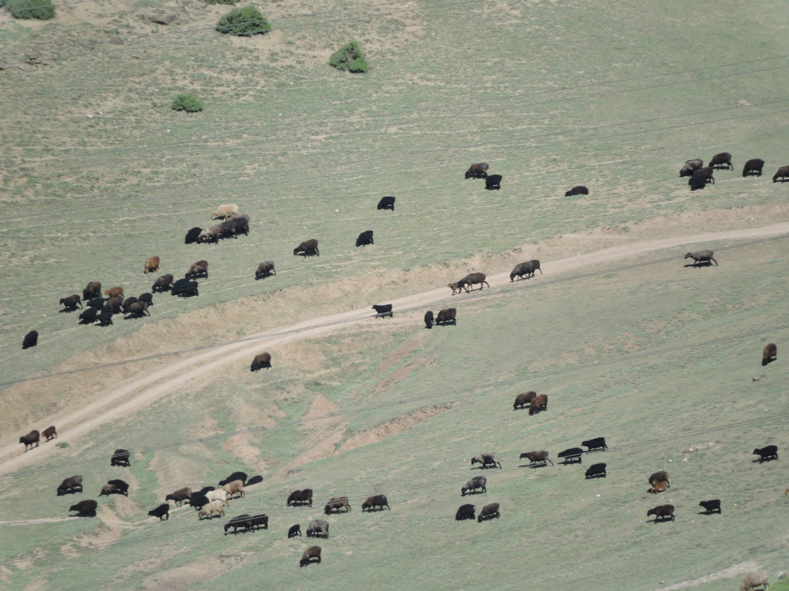 乌鲁木齐石人沟民俗,乌鲁木齐风情