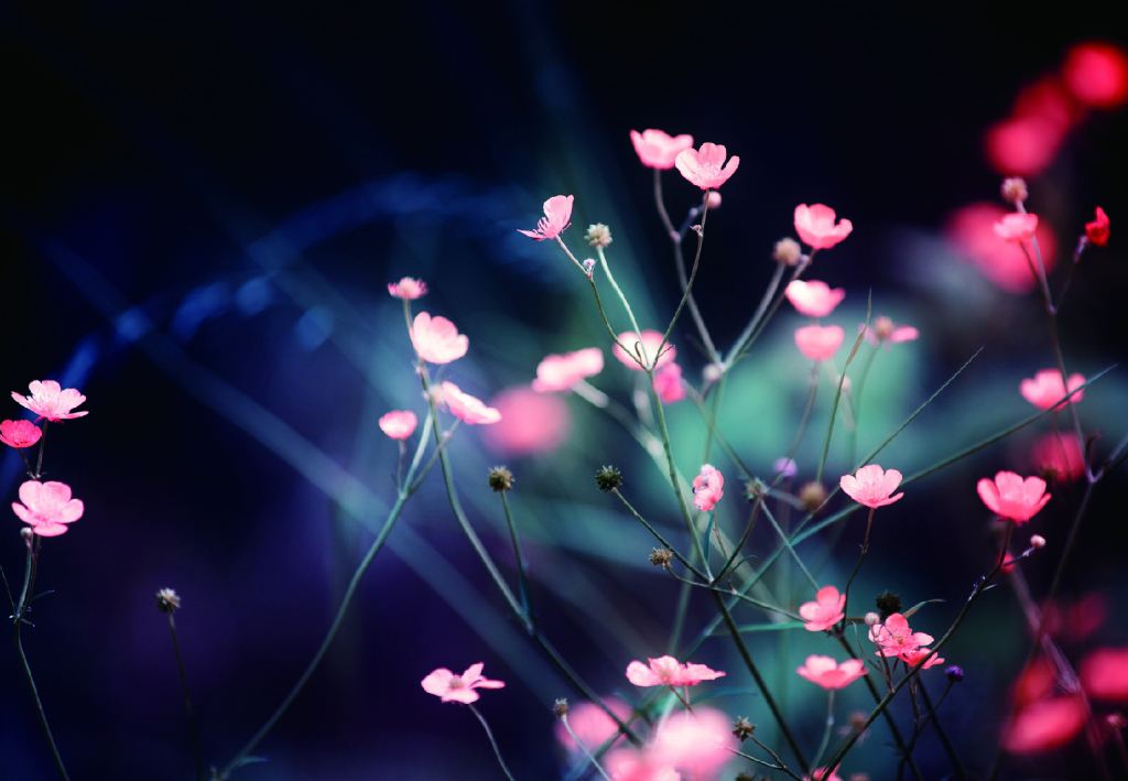 100句关于早安的说说,简短早安八个字励志语录