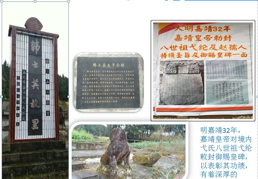 南充市世阳镇最新视频,南充世阳镇最新消息