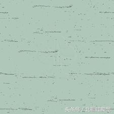 硅藻泥装修效果到底怎么样?如何判断硅藻泥产品品质是否优异?