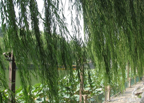 民间辟邪老物件,民间辟邪圣物