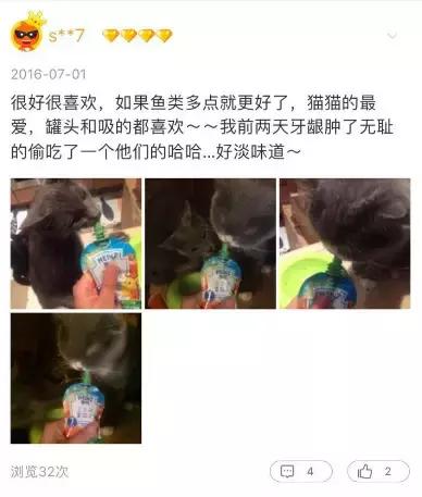 铝盆和鸡窝卖断货了，看猫咪用品创业商机