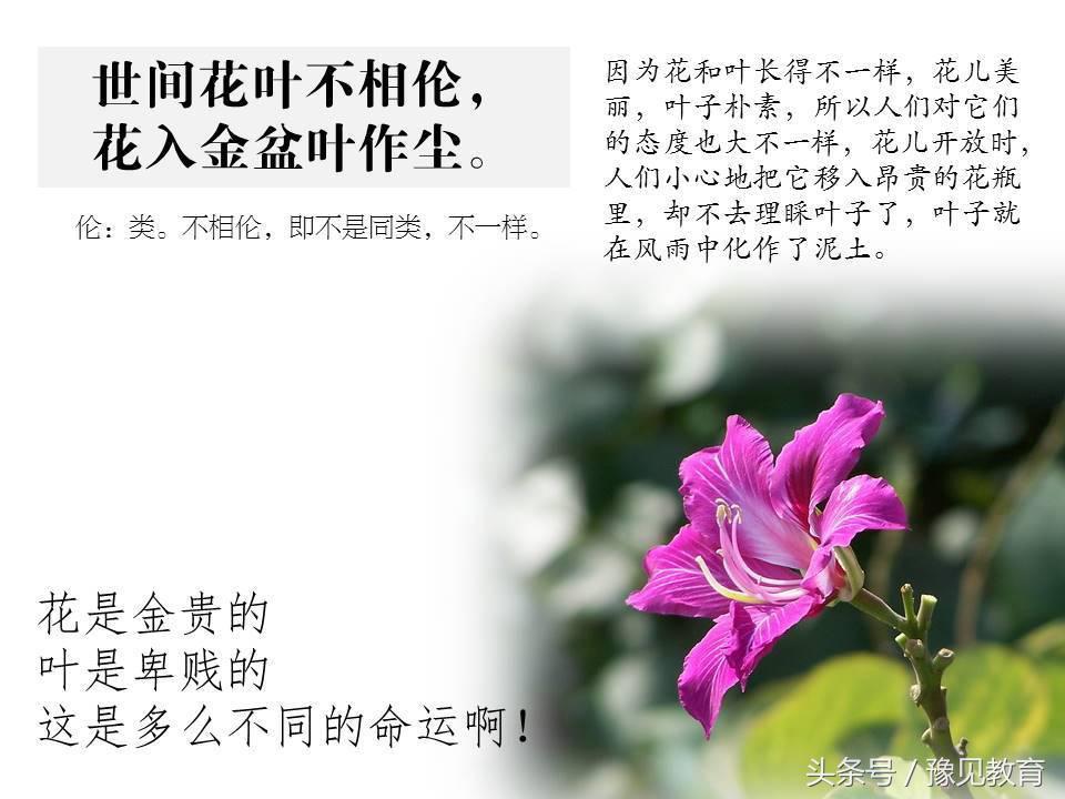 鍗楁槑鏁欒偛闆嗗洟椹幉,鍗楁槑鏁欒偛椹幉鑰佸笀