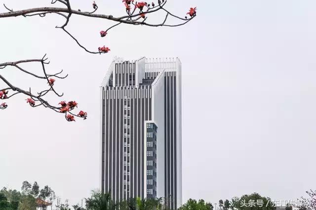 外人能不能进惠州学院,千万不要来广东上学