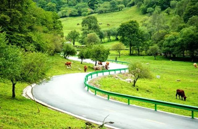 宝鸡去大水川的车次,宝鸡有直达大水川的班车吗
