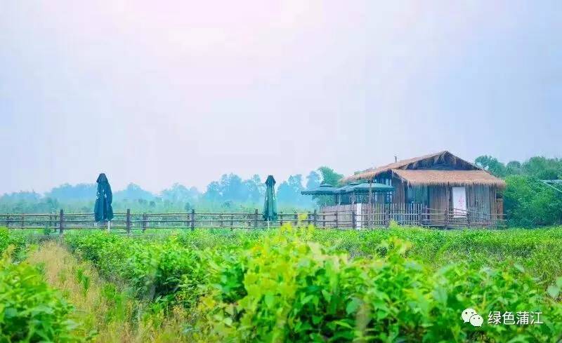 成都明月村值得去吗,成都附近的明月村在哪里