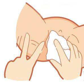 专家在线丨女宝的「下面」无需太干净?因为……