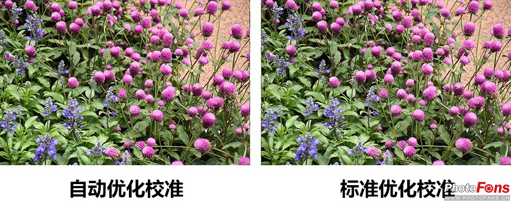 尼康d7500实拍测评,尼康d7500配50-1.8镜头拍什么最好