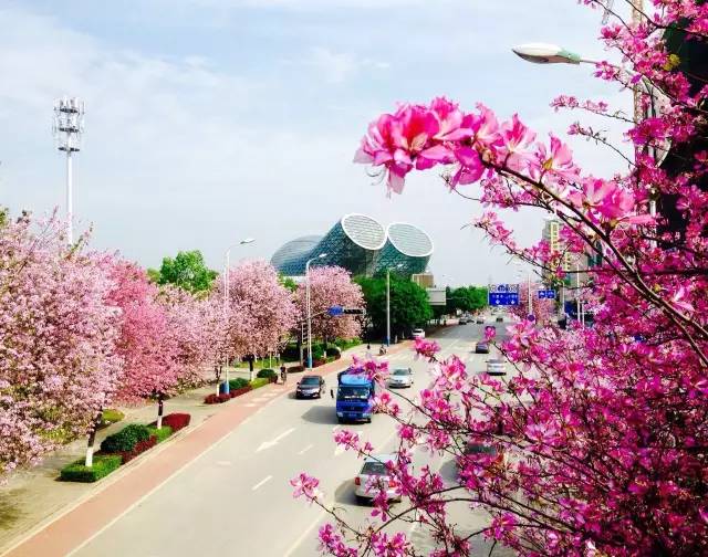 骑行柳州环江滨水观光道,柳州环江滨大道骑行