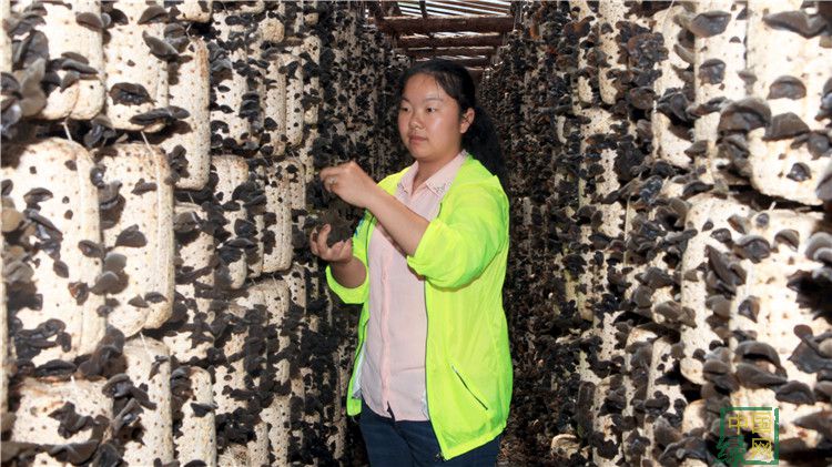 砥砺奋进的五年文化成就图片,砥砺奋进的五年成就评论