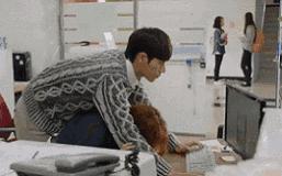 《奶酪陷阱》——看腹黑“仙贝”如何搞定学霸！