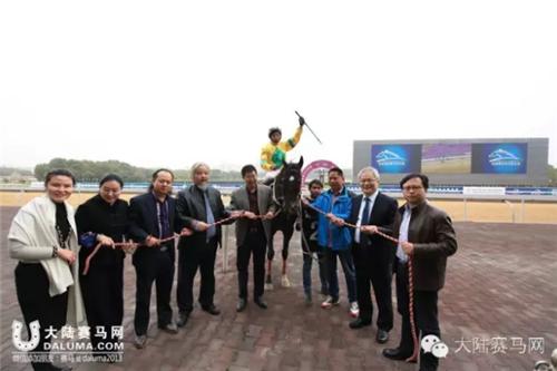 武汉赛马比赛时间表,2017全国速度赛马公开赛直播