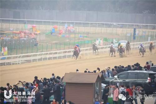 武汉赛马比赛时间表,武汉速度赛马公开赛入场时间