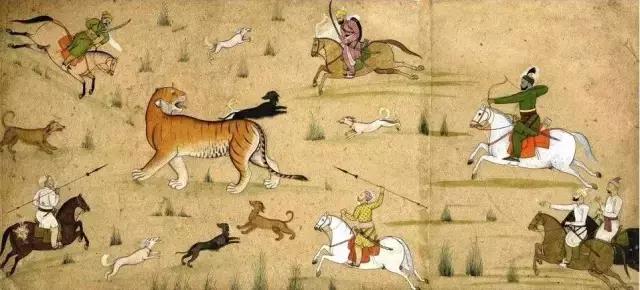 传说中的哮天犬是什么品种,哮天犬原型为中国细犬