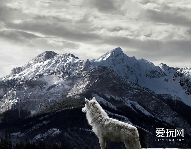 星际争霸2sc2mafia怎么玩,sc2星际争霸什么时候回归