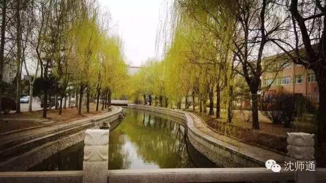 沈阳师范大学回忆,再见青春再见过往