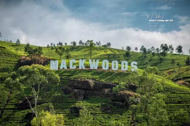 斯里兰卡旅游攻略费用多少,斯里兰卡要花多少钱