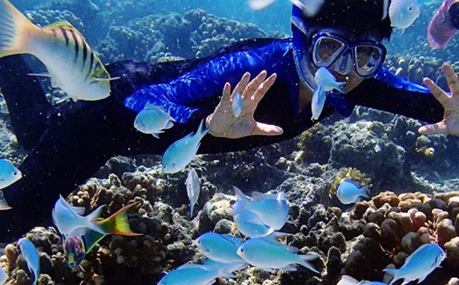 越南五日游费用,5000元越南30天旅行攻略