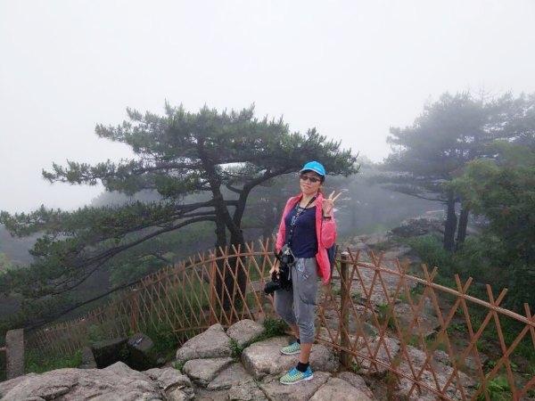 黄山四绝之一奇松介绍,黄山的四绝分别是奇松怪石