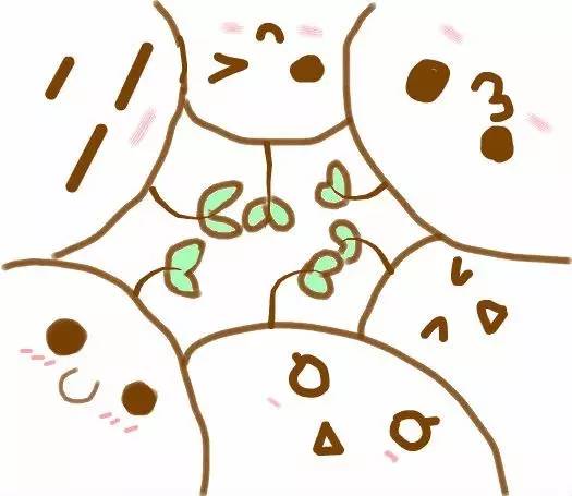 手机内存不够用怎么增加内存,手机内存不够用怎么扩大内存