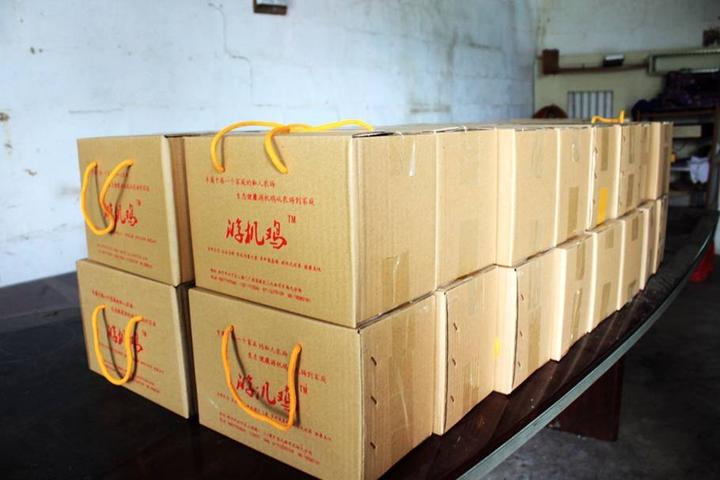 游机鸡是什么东西？吸引一群厨王跑到南宁农村吃