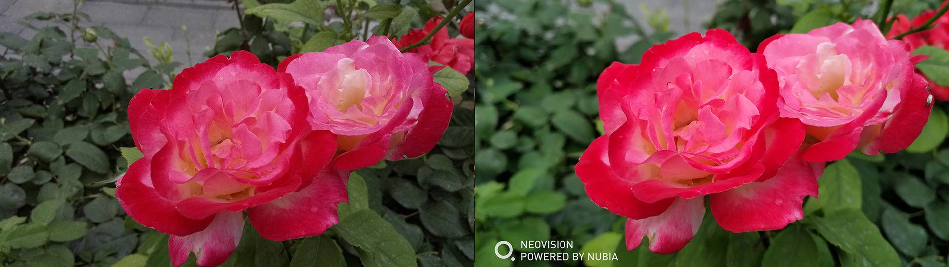 努比亚z17对比苹果12,努比亚z17和z17s哪个好看