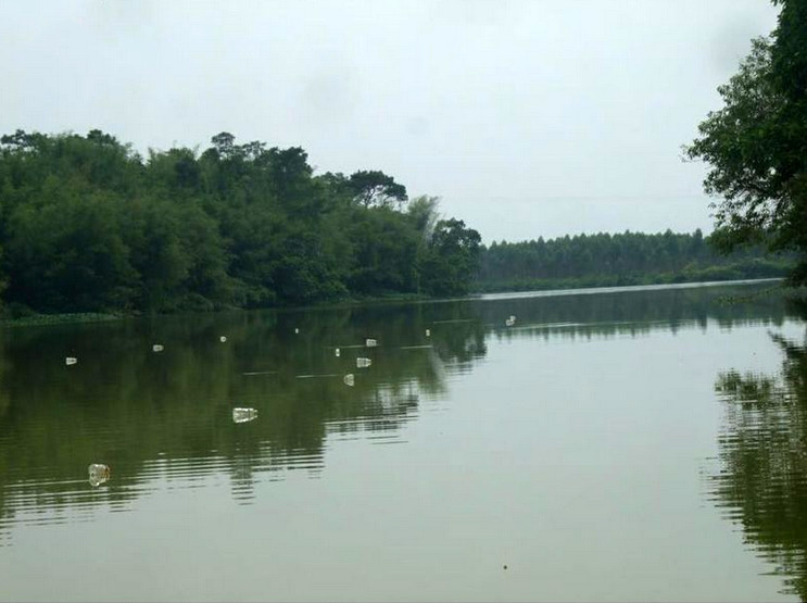 捕鱼技巧矿泉水瓶,爸爸捕鱼记